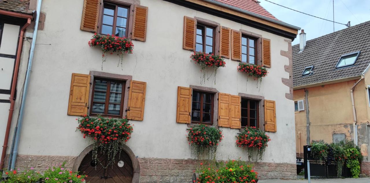 Gite A L'Aigle De Sable Kintzheim Exterior photo
